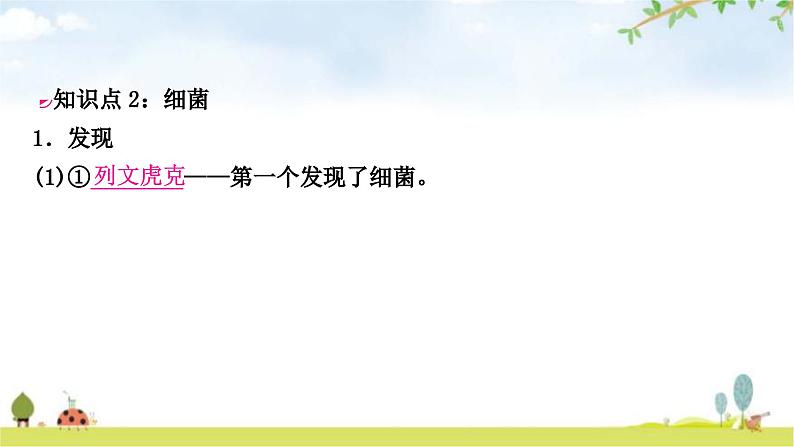 中考生物复习八年级上册第五单元生物圈中的其他生物第四章细菌和真菌第五章病毒教学课件05