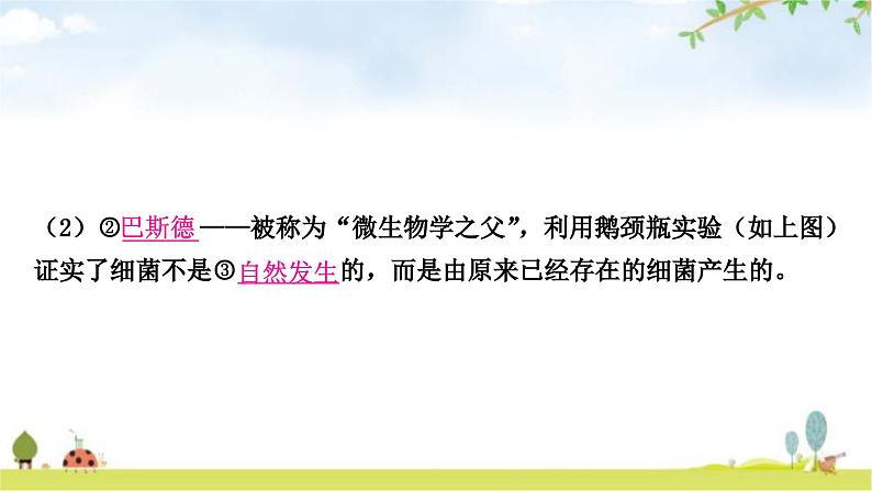 中考生物复习八年级上册第五单元生物圈中的其他生物第四章细菌和真菌第五章病毒教学课件06