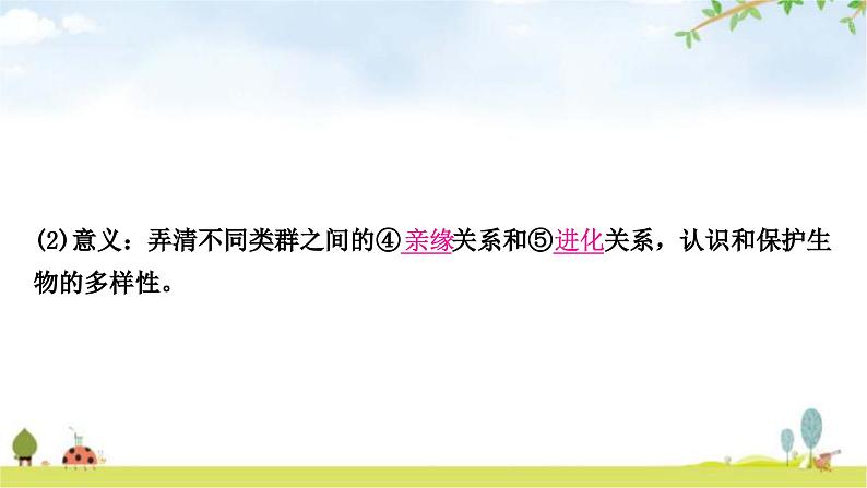 中考生物复习八年级上册第六单元生物的多样性及其保护教学课件03