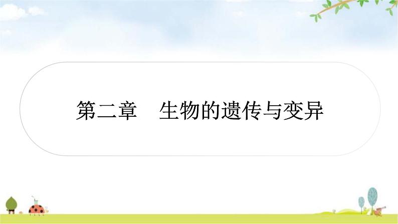 中考生物复习八年级下册第七单元生物圈中生命的延续和发展第二章生物的遗传与变异教学课件01