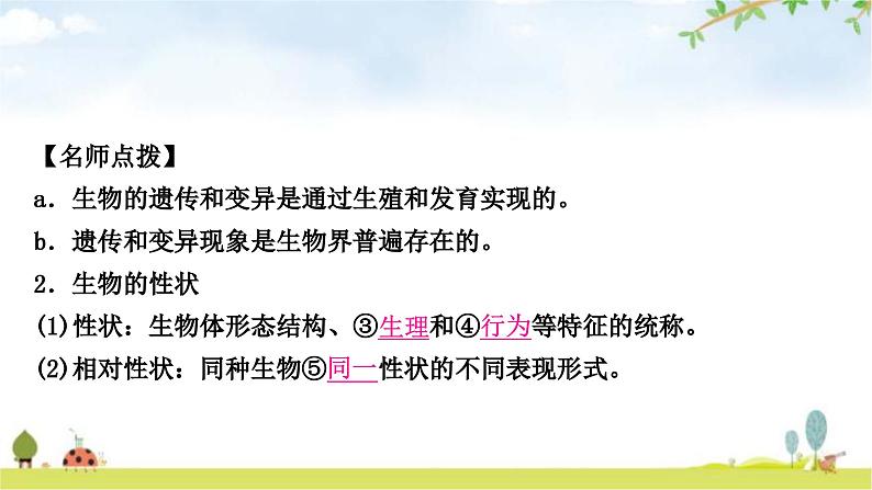 中考生物复习八年级下册第七单元生物圈中生命的延续和发展第二章生物的遗传与变异教学课件03