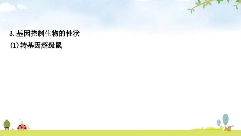 中考生物复习八年级下册第七单元生物圈中生命的延续和发展第二章生物的遗传与变异教学课件05