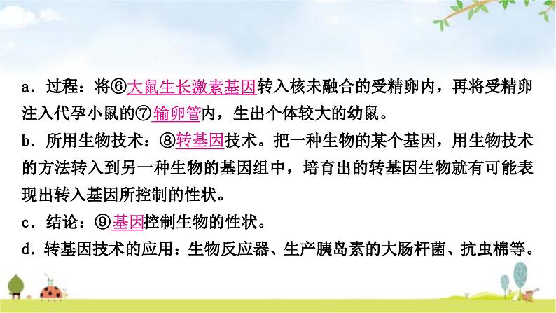 中考生物复习八年级下册第七单元生物圈中生命的延续和发展第二章生物的遗传与变异教学课件06