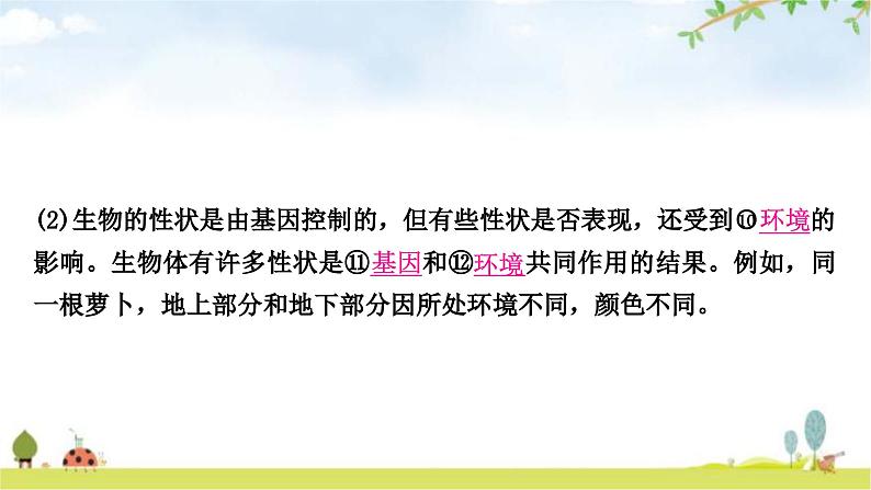 中考生物复习八年级下册第七单元生物圈中生命的延续和发展第二章生物的遗传与变异教学课件07