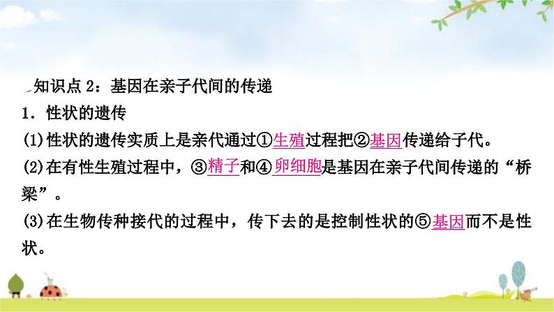 中考生物复习八年级下册第七单元生物圈中生命的延续和发展第二章生物的遗传与变异教学课件08