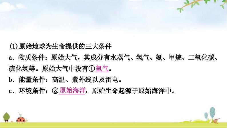 中考生物复习八年级下册第七单元生物圈中生命的延续和发展第三章生命起源和生物进化教学课件第3页