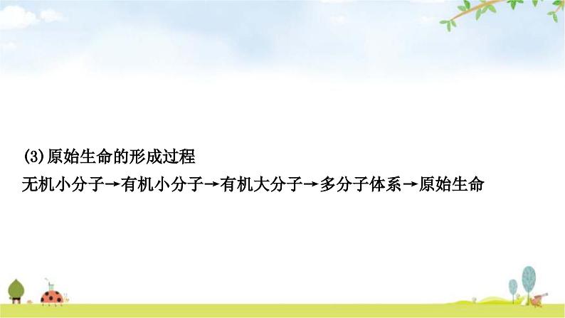 中考生物复习八年级下册第七单元生物圈中生命的延续和发展第三章生命起源和生物进化教学课件第5页