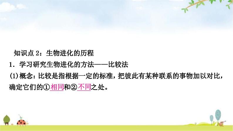 中考生物复习八年级下册第七单元生物圈中生命的延续和发展第三章生命起源和生物进化教学课件第6页