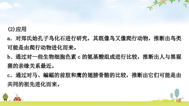 中考生物复习八年级下册第七单元生物圈中生命的延续和发展第三章生命起源和生物进化教学课件第7页