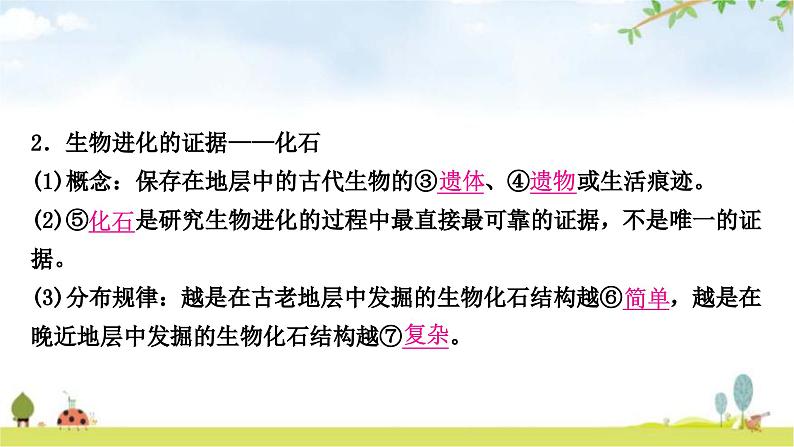 中考生物复习八年级下册第七单元生物圈中生命的延续和发展第三章生命起源和生物进化教学课件第8页