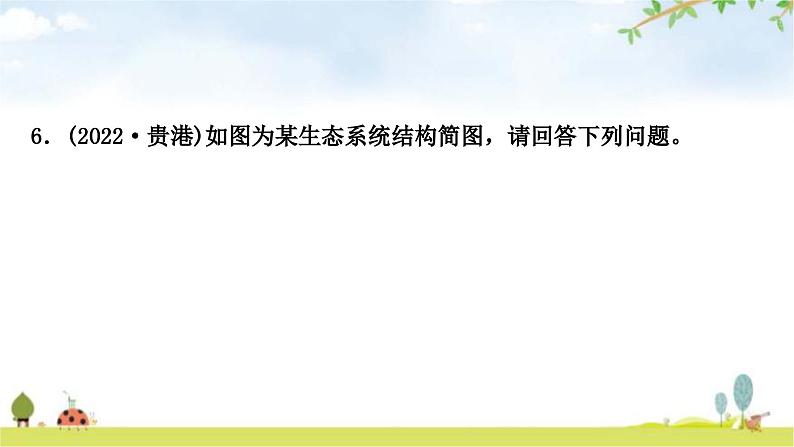 中考生物复习七年级上册第一单元生物和生物圈第二章了解生物圈课件08