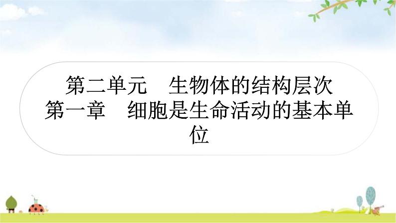 中考生物复习七年级上册第二单元生物体的结构层次第一章细胞是生命活动的基本单位课件01