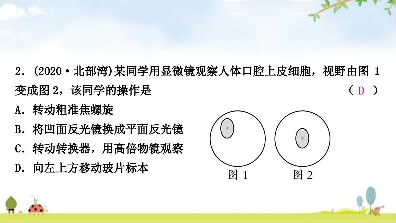 中考生物复习七年级上册第二单元生物体的结构层次第一章细胞是生命活动的基本单位课件03