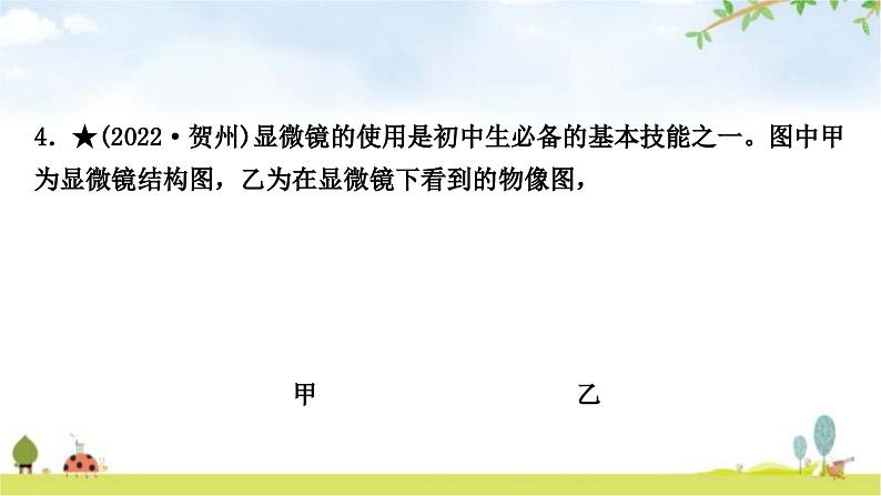 中考生物复习七年级上册第二单元生物体的结构层次第一章细胞是生命活动的基本单位课件05