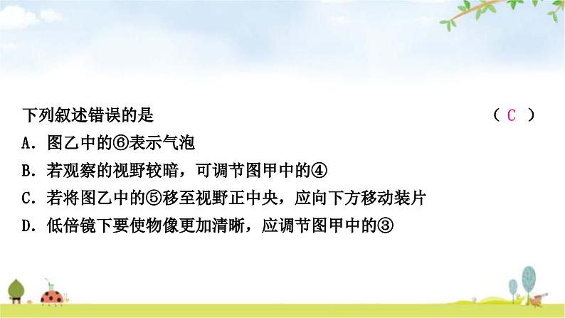 中考生物复习七年级上册第二单元生物体的结构层次第一章细胞是生命活动的基本单位课件06