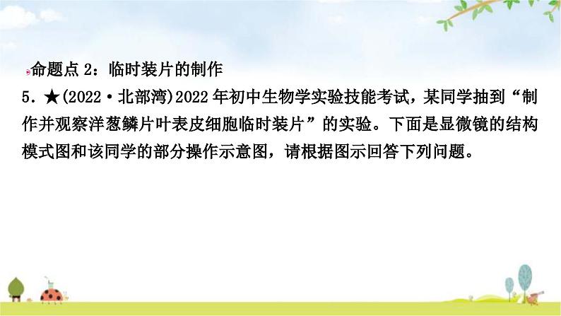 中考生物复习七年级上册第二单元生物体的结构层次第一章细胞是生命活动的基本单位课件07