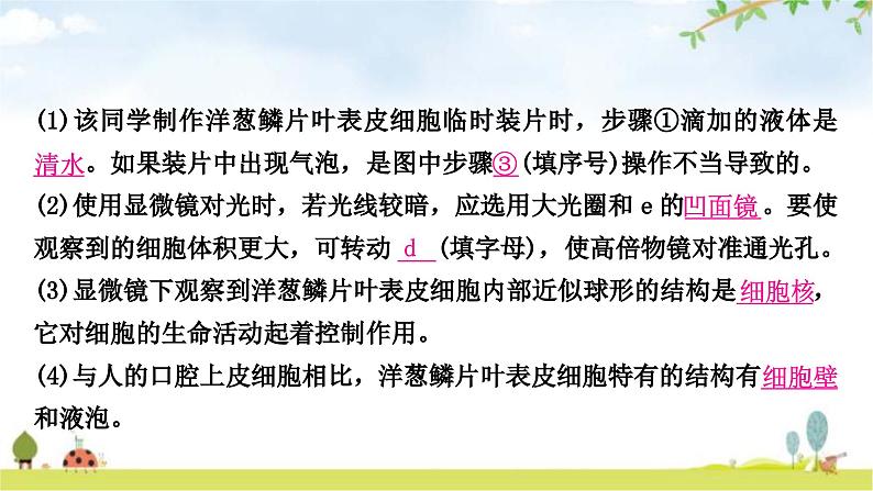 中考生物复习七年级上册第二单元生物体的结构层次第一章细胞是生命活动的基本单位课件08