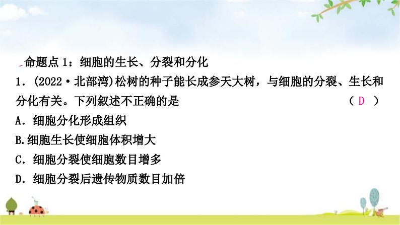 中考生物复习七年级上册第二单元生物体的结构层次第二章细胞怎样构成生物体课件02