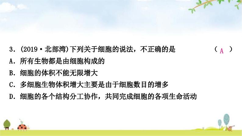 中考生物复习七年级上册第二单元生物体的结构层次第二章细胞怎样构成生物体课件04