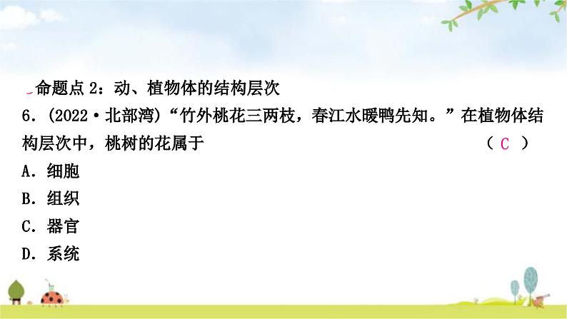 中考生物复习七年级上册第二单元生物体的结构层次第二章细胞怎样构成生物体课件07