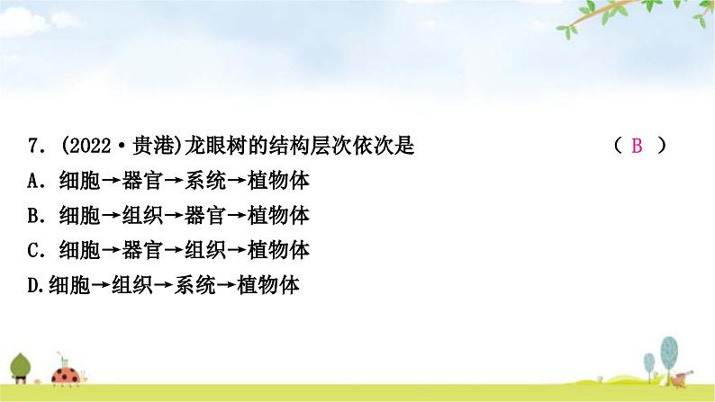 中考生物复习七年级上册第二单元生物体的结构层次第二章细胞怎样构成生物体课件08