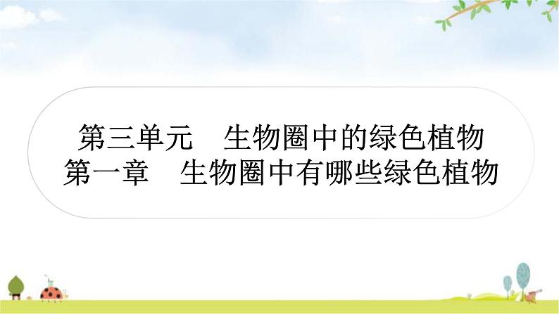 中考生物复习七年级上册第三单元生物圈中的绿色植物第一章生物圈中有哪些绿色植物课件01