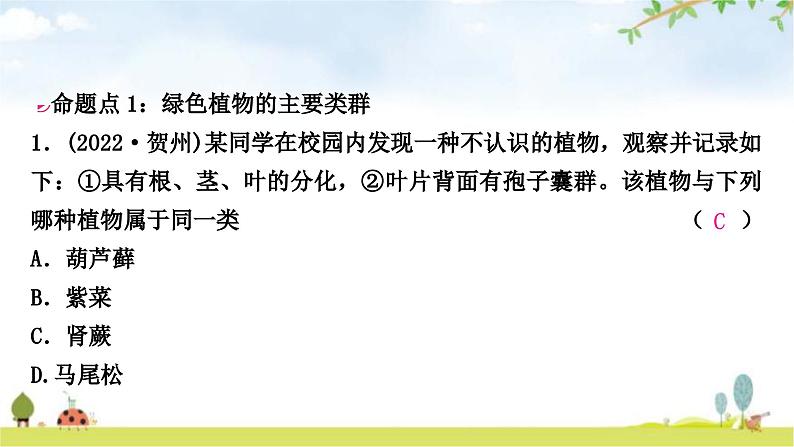 中考生物复习七年级上册第三单元生物圈中的绿色植物第一章生物圈中有哪些绿色植物课件02