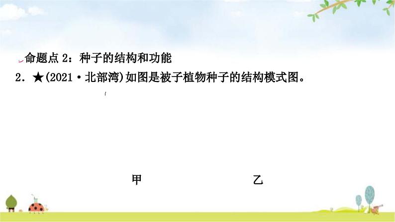 中考生物复习七年级上册第三单元生物圈中的绿色植物第一章生物圈中有哪些绿色植物课件03