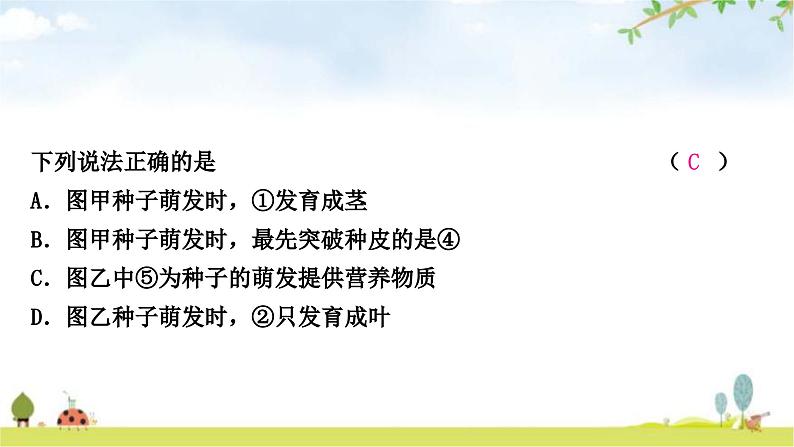 中考生物复习七年级上册第三单元生物圈中的绿色植物第一章生物圈中有哪些绿色植物课件04