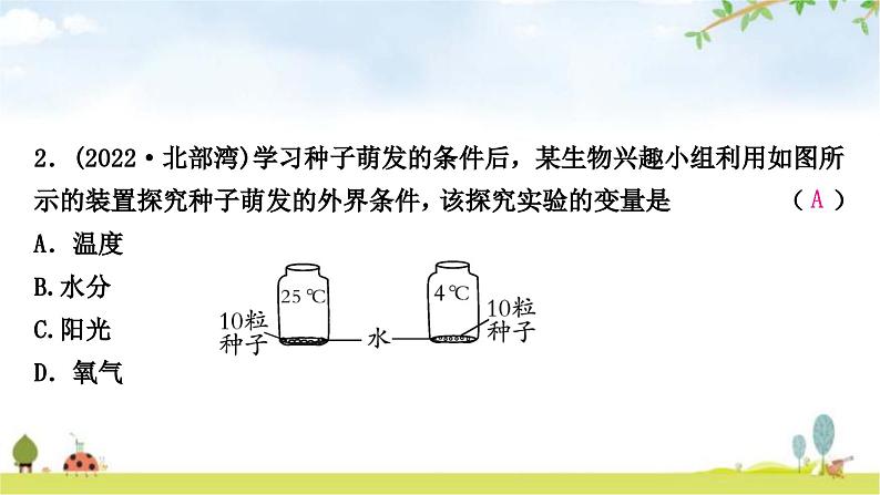 中考生物复习七年级上册第三单元生物圈中的绿色植物第二章被子植物的一生课件03