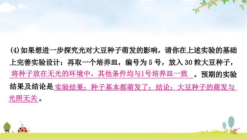 中考生物复习七年级上册第三单元生物圈中的绿色植物第二章被子植物的一生课件06