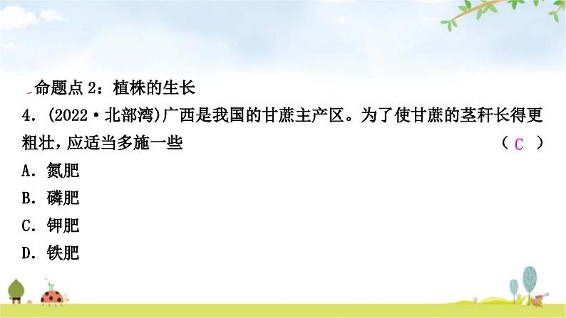 中考生物复习七年级上册第三单元生物圈中的绿色植物第二章被子植物的一生课件07