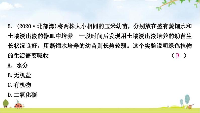 中考生物复习七年级上册第三单元生物圈中的绿色植物第二章被子植物的一生课件08