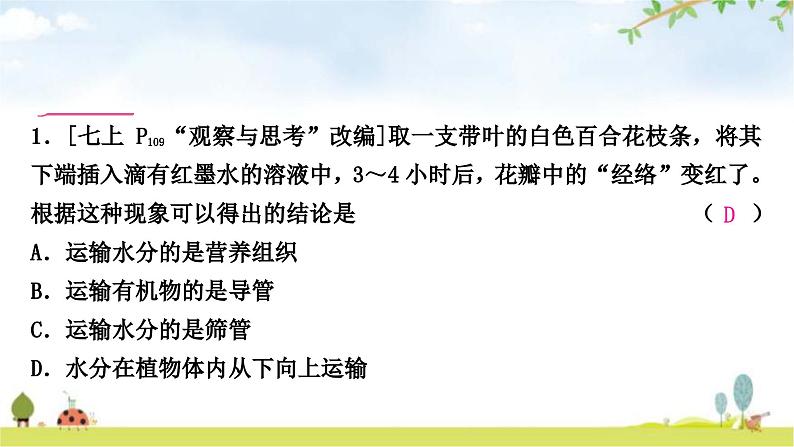 中考生物复习七年级上册第三单元生物圈中的绿色植物第三章绿色植物与生物圈的水循环课件03