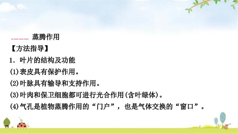 中考生物复习七年级上册第三单元生物圈中的绿色植物第三章绿色植物与生物圈的水循环课件04