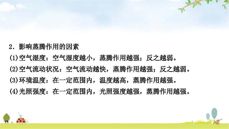 中考生物复习七年级上册第三单元生物圈中的绿色植物第三章绿色植物与生物圈的水循环课件05