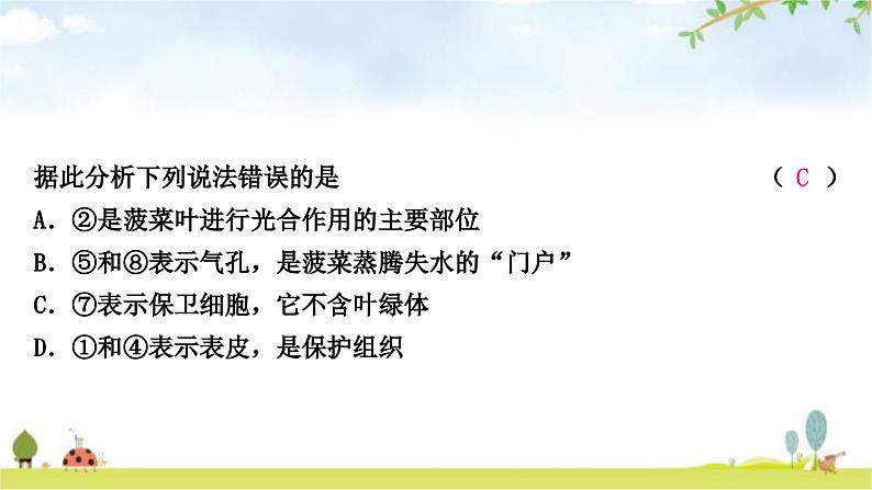 中考生物复习七年级上册第三单元生物圈中的绿色植物第三章绿色植物与生物圈的水循环课件07