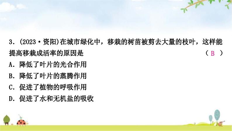 中考生物复习七年级上册第三单元生物圈中的绿色植物第三章绿色植物与生物圈的水循环课件08