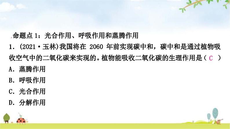 中考生物复习七年级上册第三单元第四章第五章第六章课件第2页