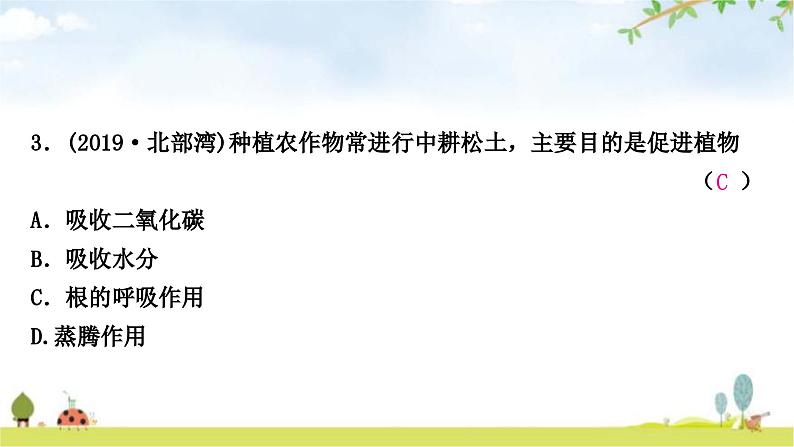 中考生物复习七年级上册第三单元第四章第五章第六章课件第4页