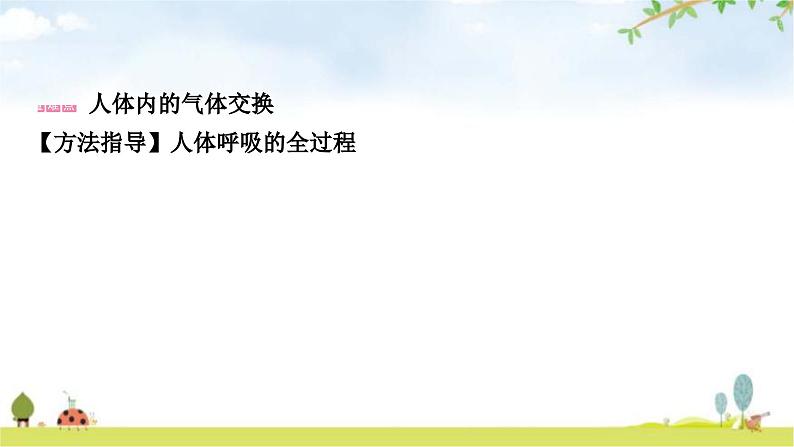 中考生物复习七年级下册第四单元生物圈中的人第三章人体的呼吸课件第5页