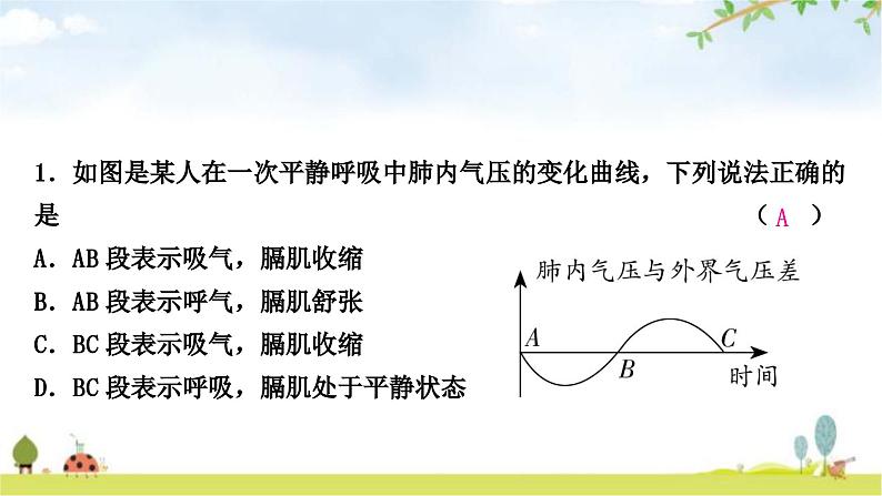 中考生物复习七年级下册第四单元生物圈中的人第三章人体的呼吸课件第7页