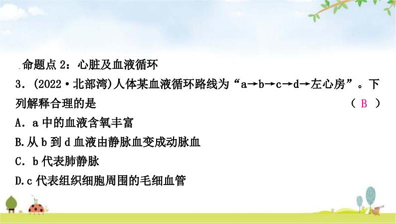 中考生物复习七年级下册第四单元生物圈中的人第四章人体内物质的运输课件第4页