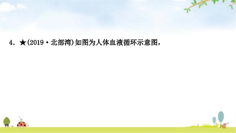 中考生物复习七年级下册第四单元生物圈中的人第四章人体内物质的运输课件第5页