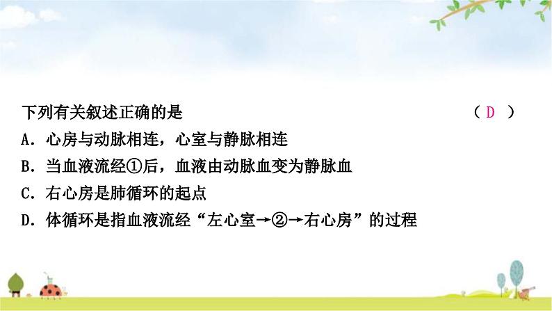 中考生物复习七年级下册第四单元生物圈中的人第四章人体内物质的运输课件第6页