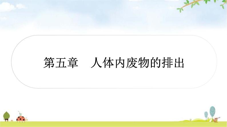 中考生物复习七年级下册第四单元生物圈中的人第五章人体内废物的排出课件01