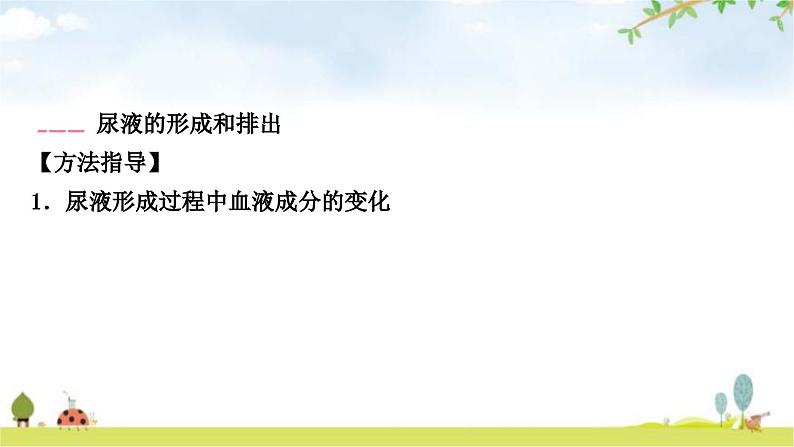 中考生物复习七年级下册第四单元生物圈中的人第五章人体内废物的排出课件04