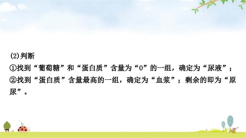 中考生物复习七年级下册第四单元生物圈中的人第五章人体内废物的排出课件07