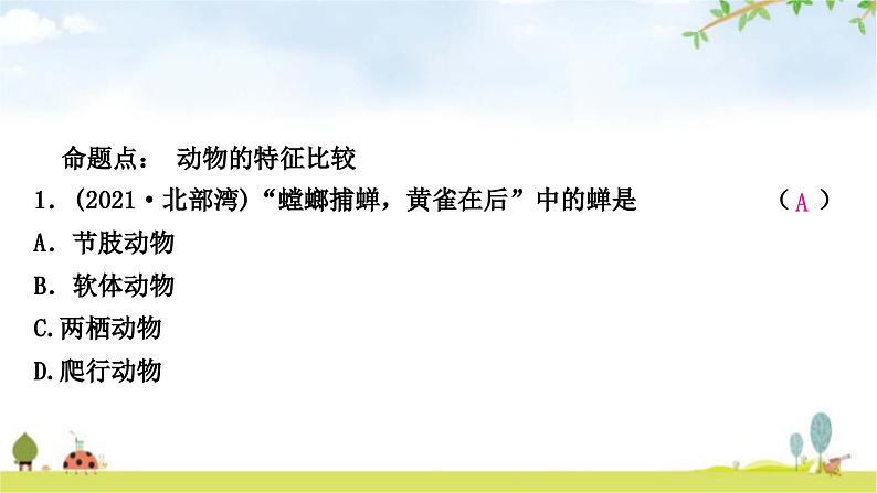 中考生物复习八年级上册第五单元生物圈中的其他生物第一章动物的主要类群课件第2页