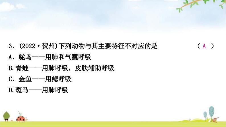 中考生物复习八年级上册第五单元生物圈中的其他生物第一章动物的主要类群课件第4页